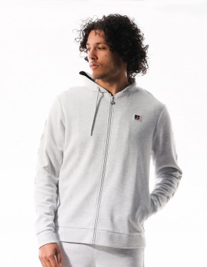 Russell Athletic Americana Tech Fleece Zip Men Hoodie Light Grey | YKRPO-0715