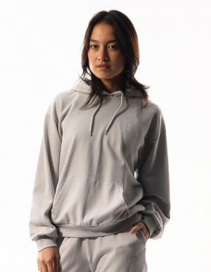 Russell Athletic Inlay Logo Unbrushed Women Hoodie Light Grey | CDMSR-3765