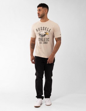 Russell Athletic Screaming Eagle Men T Shirts Grey | OKBQD-5380