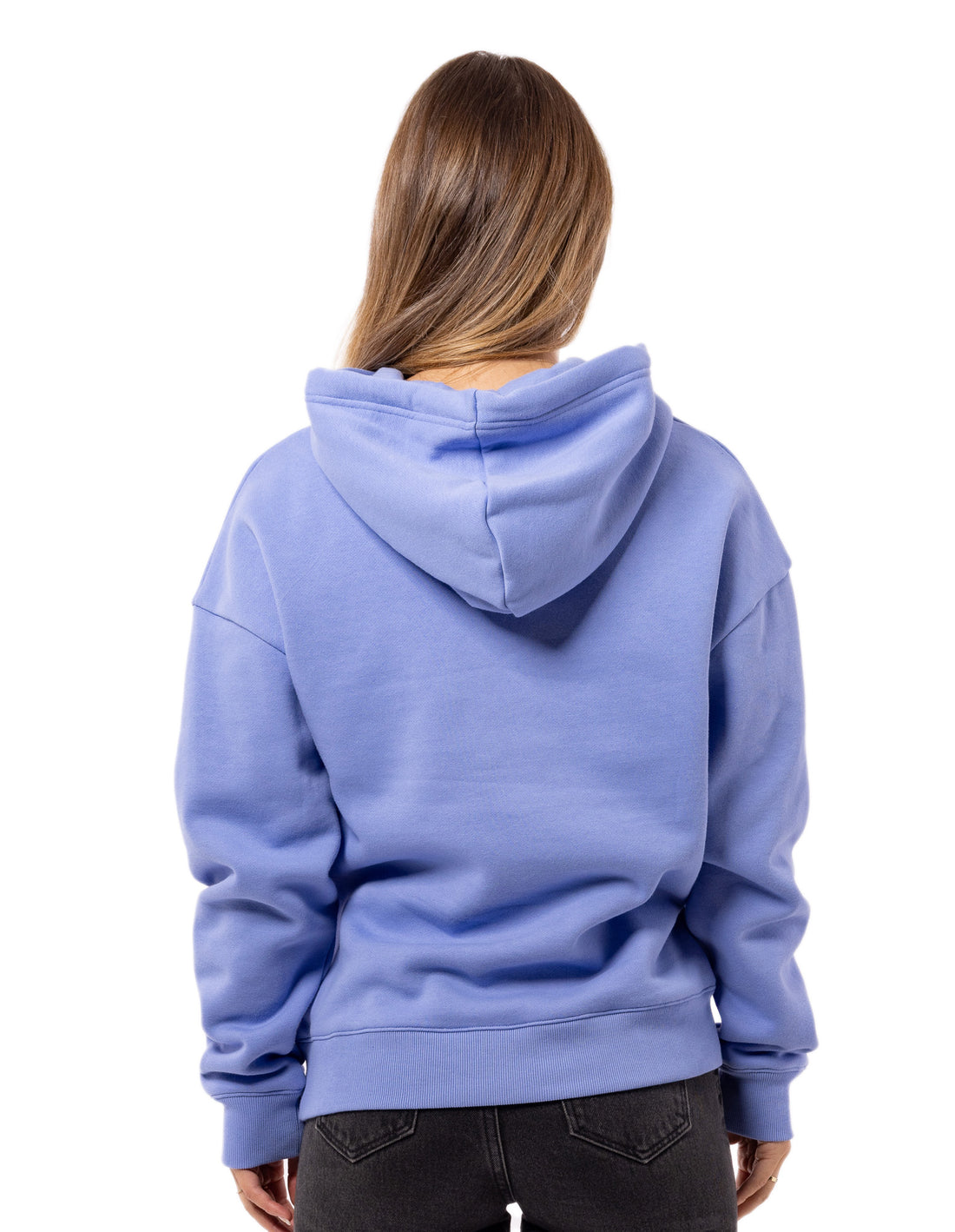 Russell Athletic Collegiate Women Hoodie Lavender | AUQBN-2789