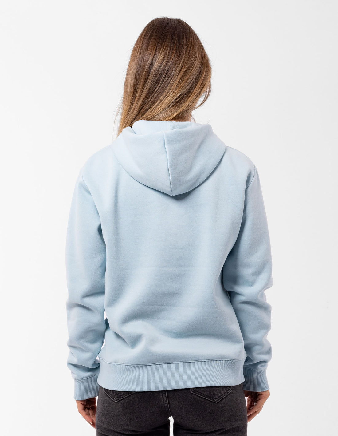 Russell Athletic Modern Tonal Women Hoodie Light Blue | LXVQG-0379